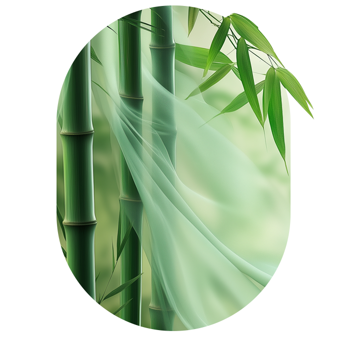 Sustainability Vision